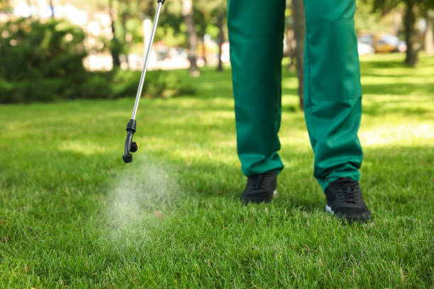 Pest Prevention Services in Enderlin, ND